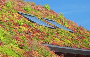 Aldington Frith living roof systems