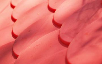 Aldington Frith plastic roof costs